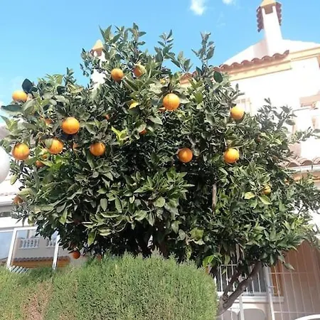 Apartament Corazon Apartmán Alicante